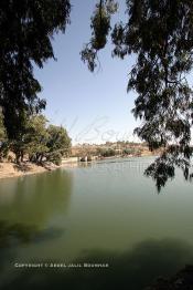 Image du Maroc Professionnelle de  Le Barrage Machraa Hamadi dont la capacité est de 42 Millions de m3, est construit sur l'Oued Moulouya, il permet, depuis 1956, d'approvisionner la région et d'irriguer les terres de cultures, ce barrage fournit en eau potable les ville de Nador, Oujda, il permet également l'approvisionnement des centre de Taourirte et El Aïoun Sidi Mellouk. Samedi 1er octobre 2005. (Photo / Abdeljalil Bounhar)